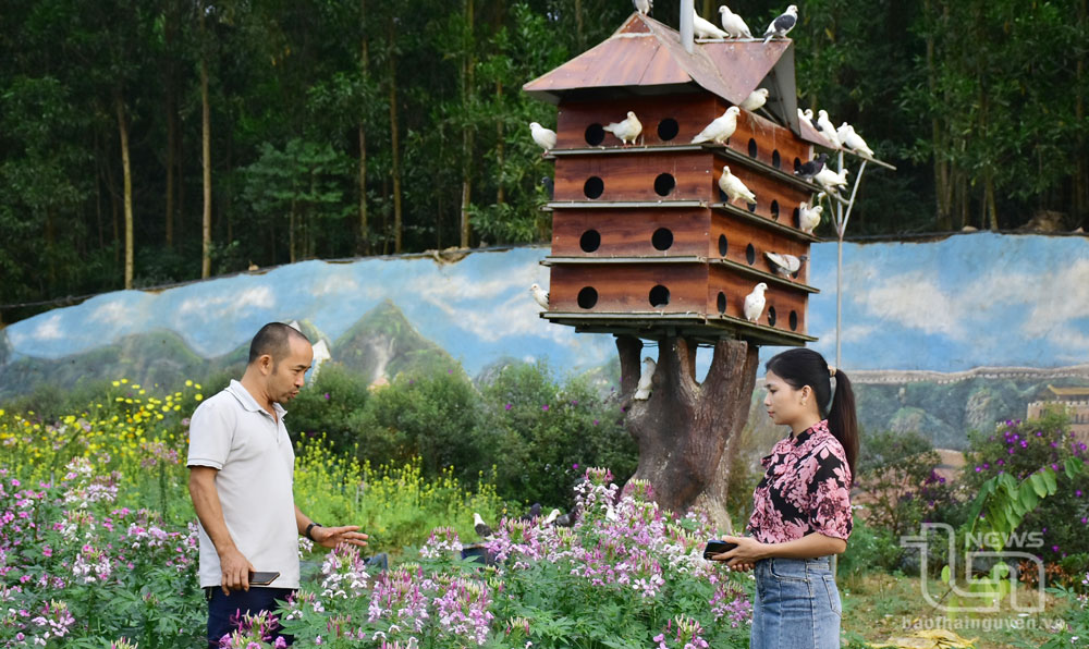 mô hình du lịch sinh thái - Hình 4