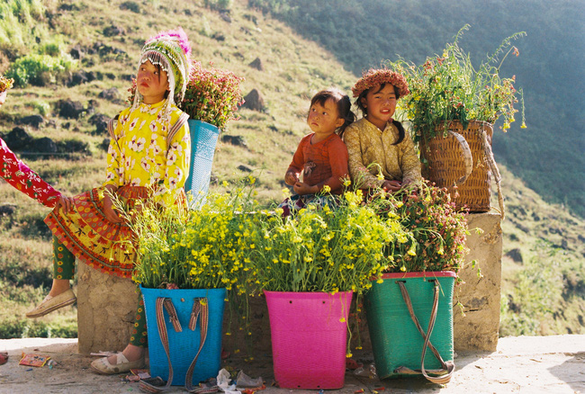 mùa du lịch hà giang - Hình 2