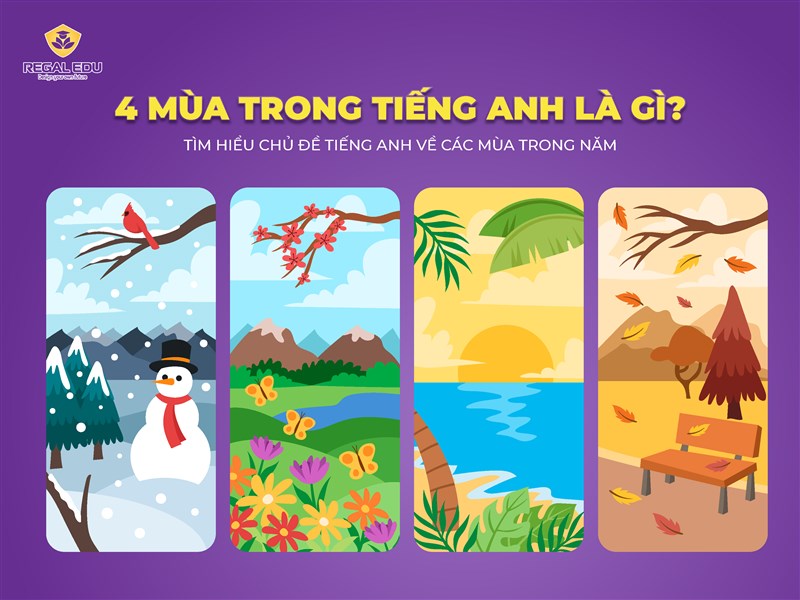 mùa du lịch tiếng anh là gì - Hình 5