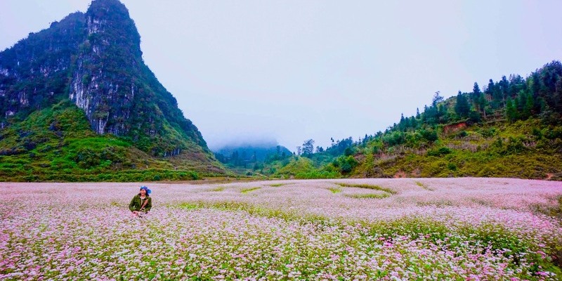 mùa thu đi du lịch ở đâu - Hình 3
