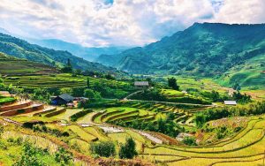 mùa xuân nên đi du lịch ở đâu