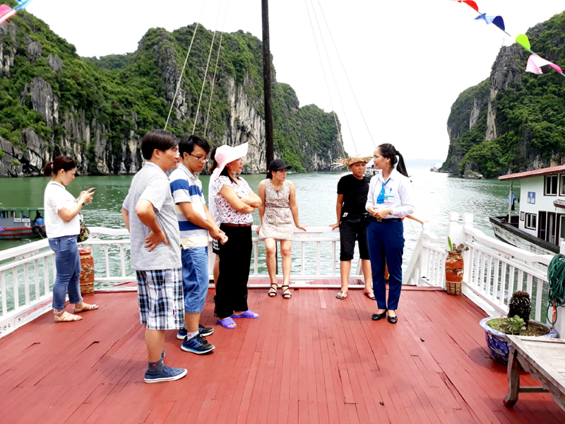 nhân viên tư vấn du lịch - Hình 4