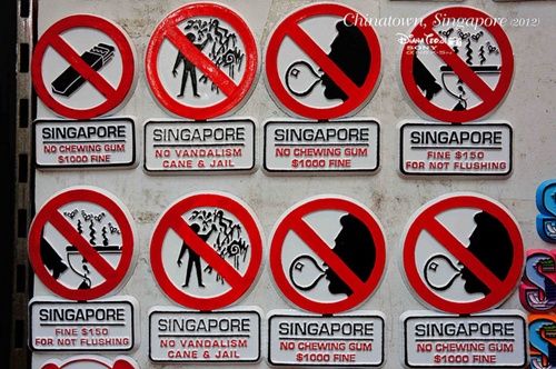 những điều cấm kỵ khi du lịch singapore - Hình 5