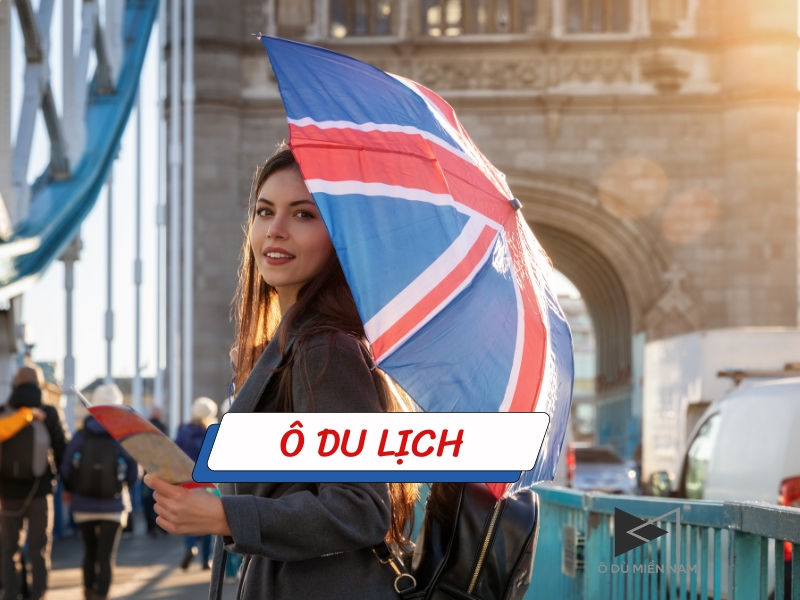 ô du lịch - Hình 5