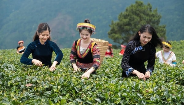 phát triển du lịch bền vững ở việt nam - Hình 2