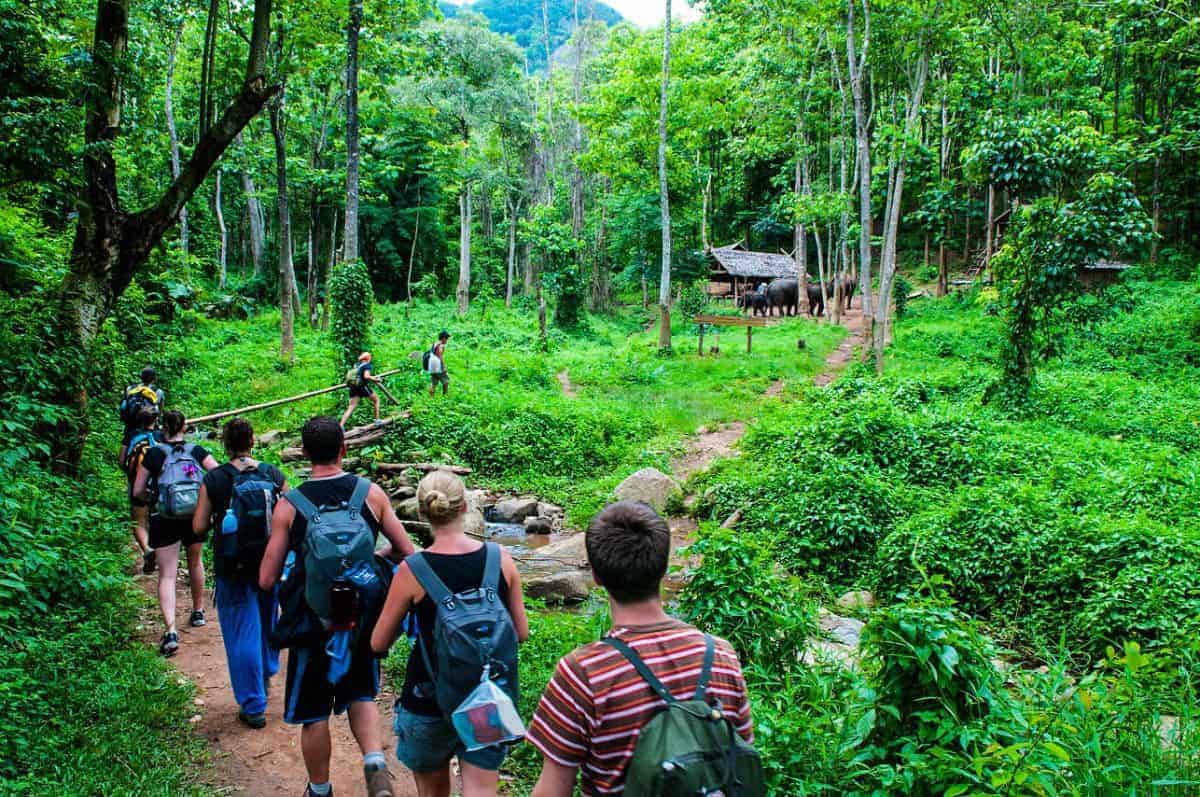 phát triển du lịch sinh thái - Hình 2