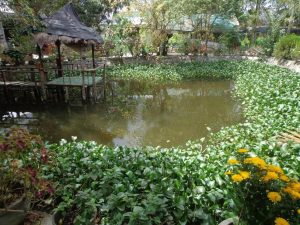 quán ăn đồng quê nha trang
