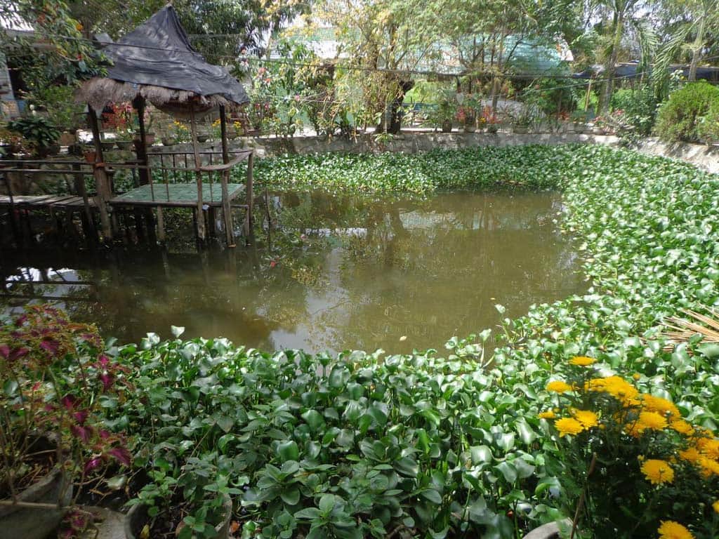 quán ăn đồng quê nha trang - Hình 1