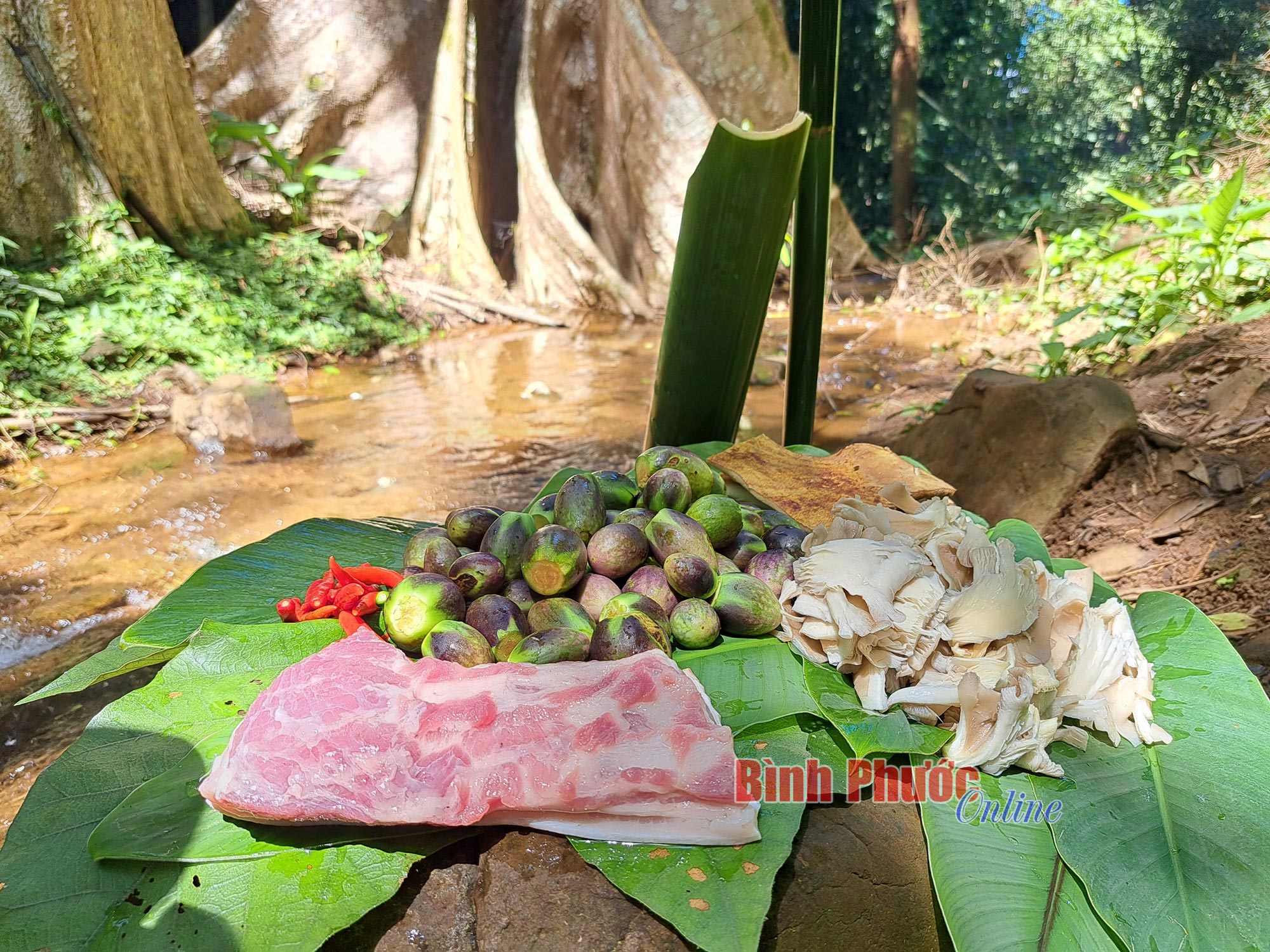 quán ăn ở bù gia mập bình phước - Hình 2