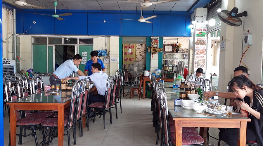 quán ăn ở cái rồng - Hình 4