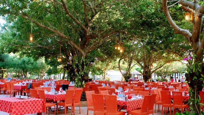 quán ăn ở hoa lan - Hình 1