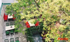 quán ăn ở ngô thì nhậm