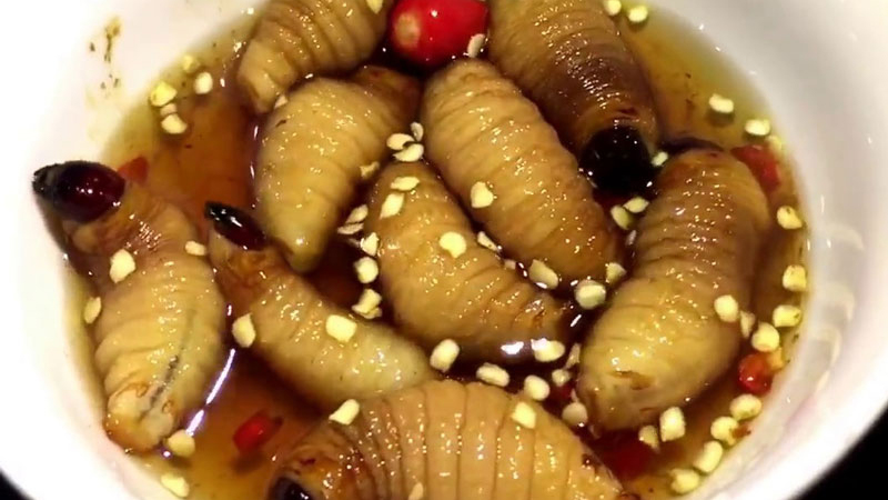 quán đồ ăn cồn trùng tại sài gòn - Hình 3