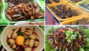 quán đồ ăn cồn trùng tại sài gòn