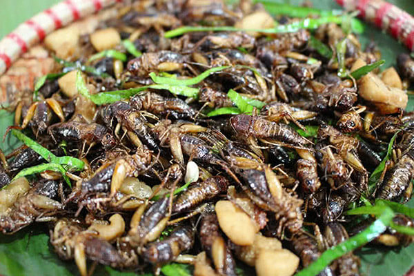 quán đồ ăn cồn trùng tại sài gòn - Hình 5