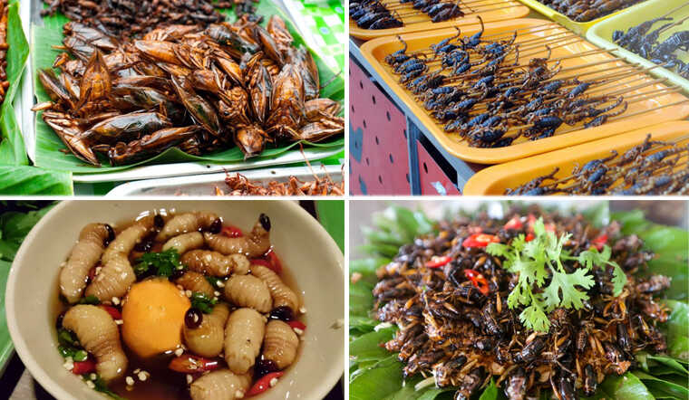 quán đồ ăn cồn trùng tại sài gòn - Hình 1