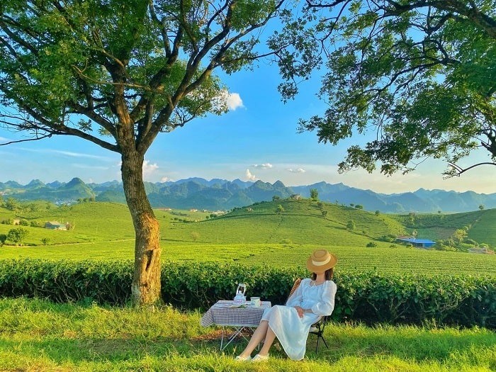review du lịch mộc châu - Hình 3