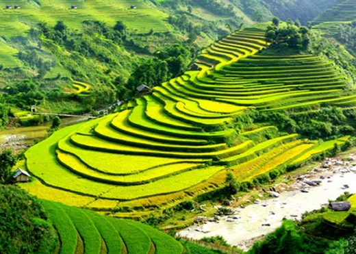 review du lịch sapa - Hình 3