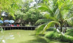 review khu du lịch bình mỹ củ chi