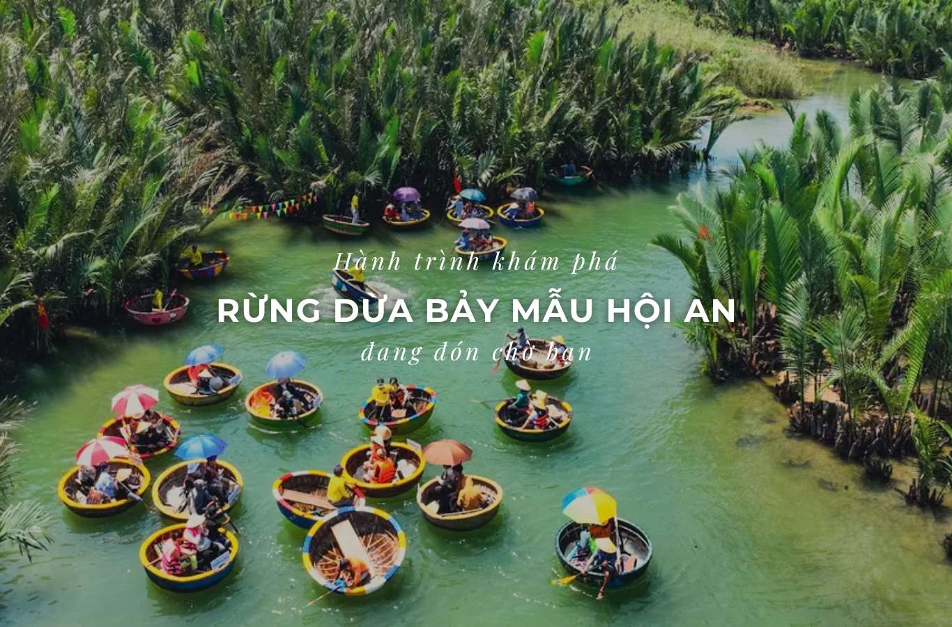 rừng dừa 7 mẫu du lịch hội an - Hình 1