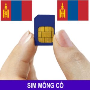 sim du lịch pháp