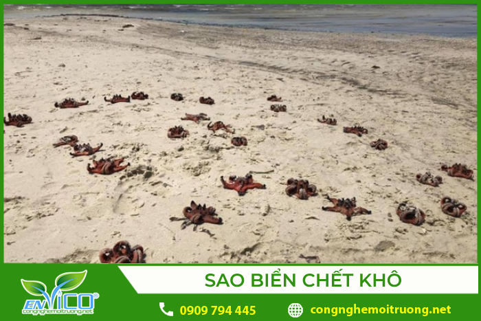 tác động của du lịch đến môi trường - Hình 4