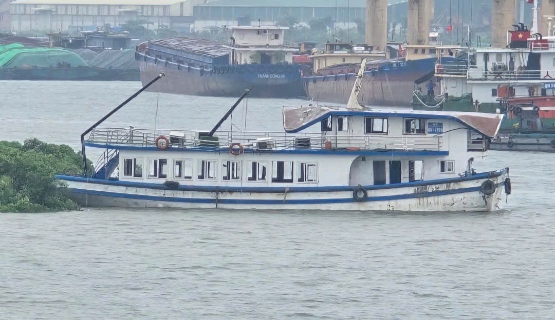 tàu du lịch qn 7105 - Hình 2
