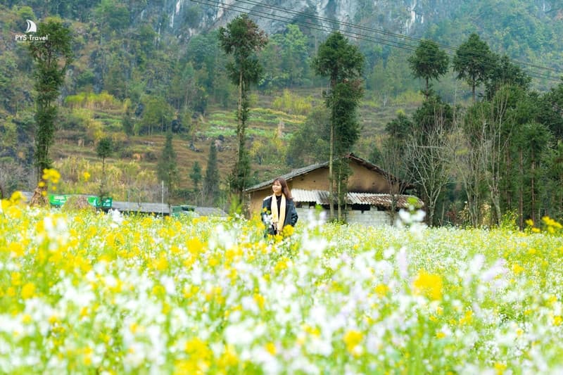 tháng 12 nên đi du lịch ở đâu miền bắc - Hình 4