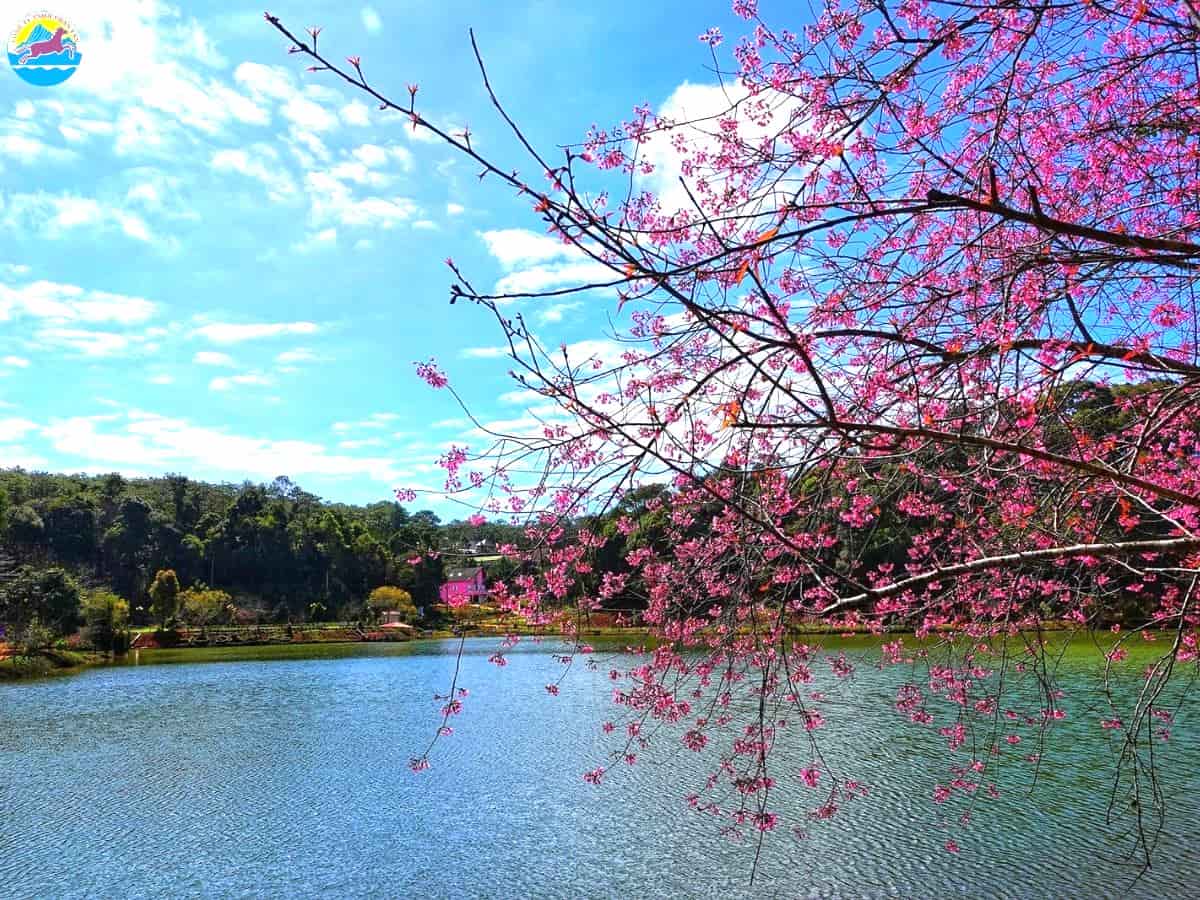 tháng 3 du lịch ở đâu đẹp nhất - Hình 5