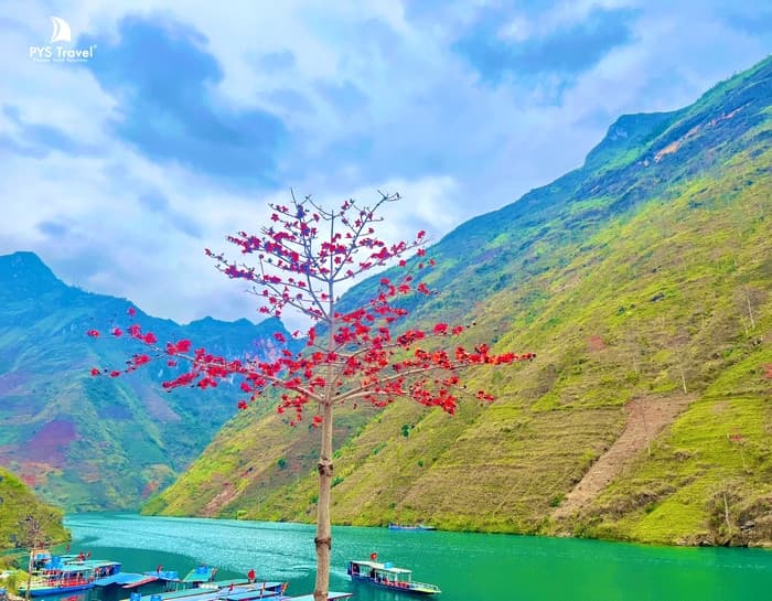 tháng 3 nên đi du lịch ở đâu việt nam - Hình 4