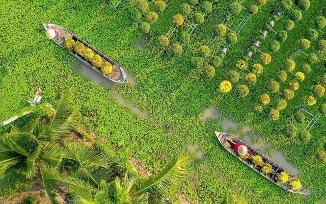 tour du lịch 1 ngày tại đồng tháp - Hình 4