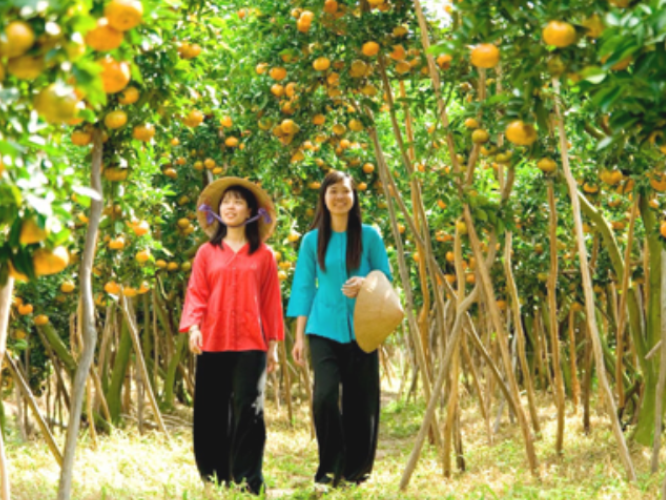 tour du lịch 2 ngày tại vĩnh long - Hình 3