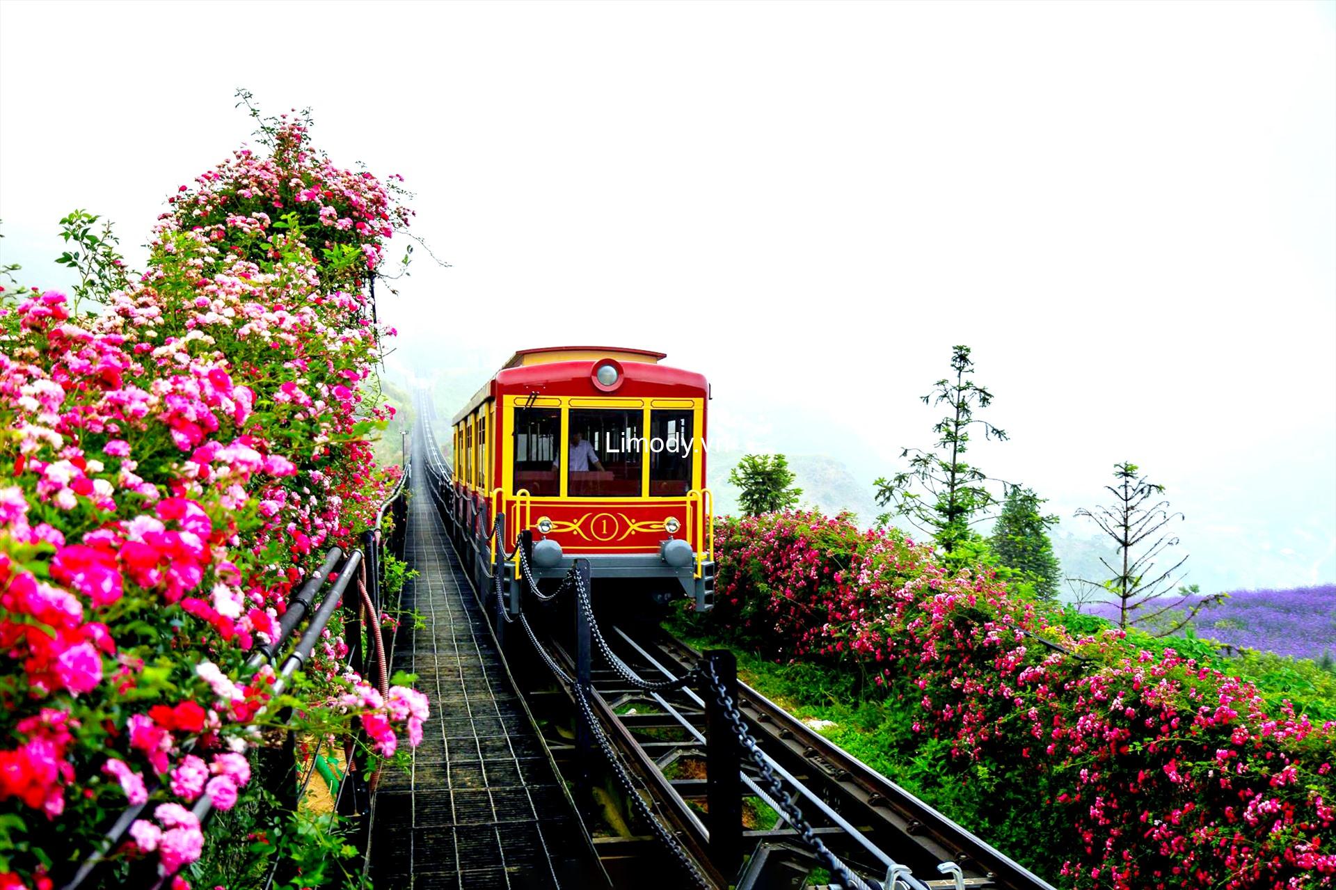tour du lịch bằng tàu hỏa từ hà nội - Hình 5