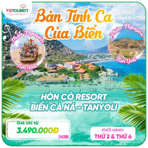 tour du lịch cà ná - Hình 4