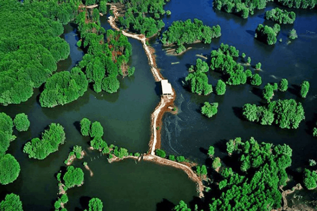 tour du lịch cần giờ 2 ngày 1 đêm - Hình 2