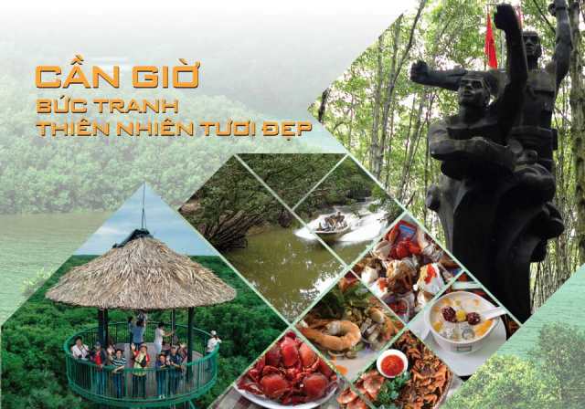 tour du lịch cần giờ 2 ngày 1 đêm - Hình 5