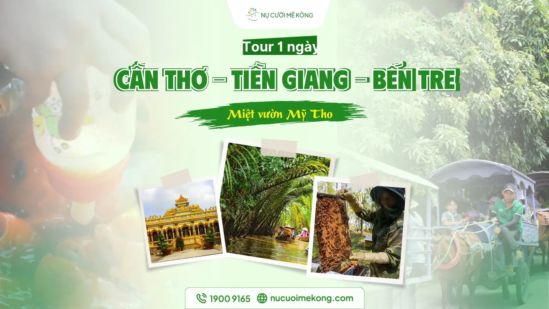 tour du lịch cần thơ bến tre - Hình 4