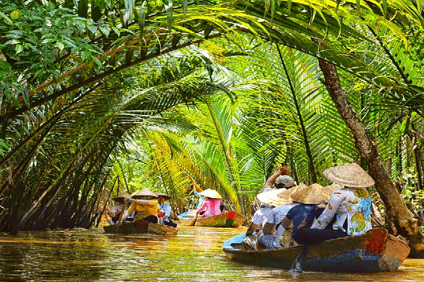 tour du lịch cần thơ giá rẻ - Hình 5