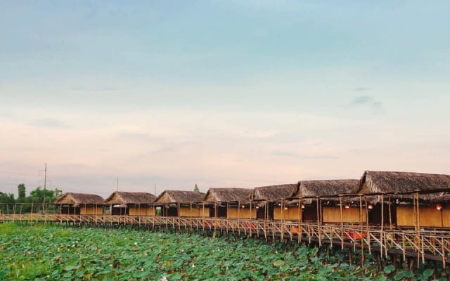 tour du lịch cao lãnh đồng tháp - Hình 3