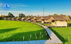 tour du lịch cao lãnh đồng tháp