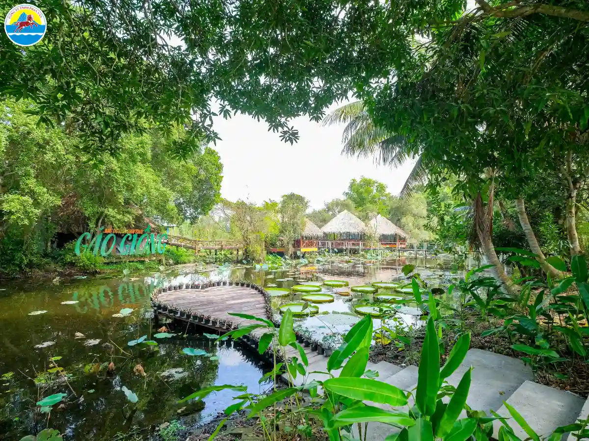 tour du lịch cao lãnh đồng tháp - Hình 5