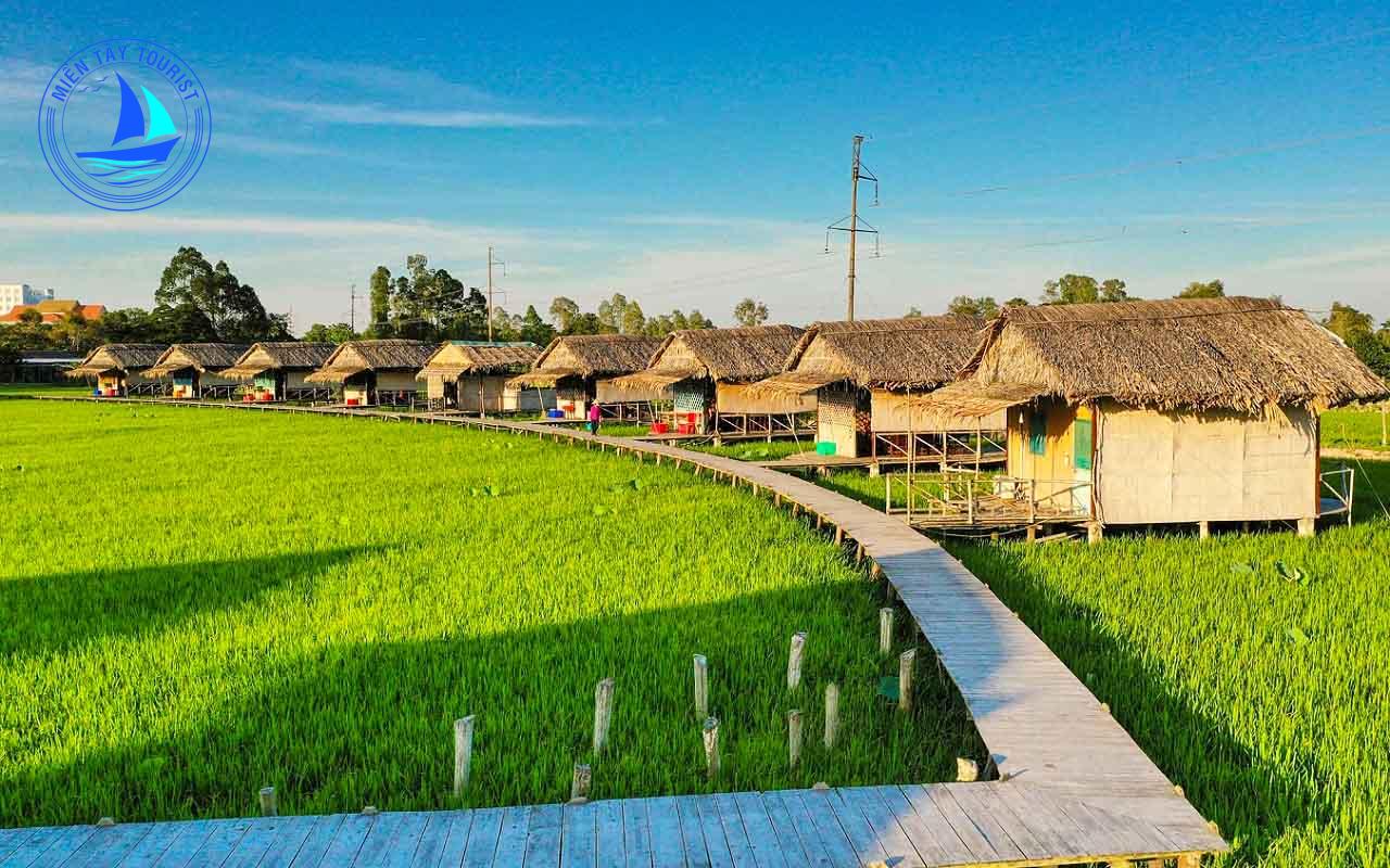 tour du lịch cao lãnh đồng tháp - Hình 1