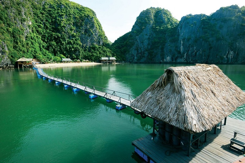 tour du lịch cát bà 4 ngày 3 đêm - Hình 3