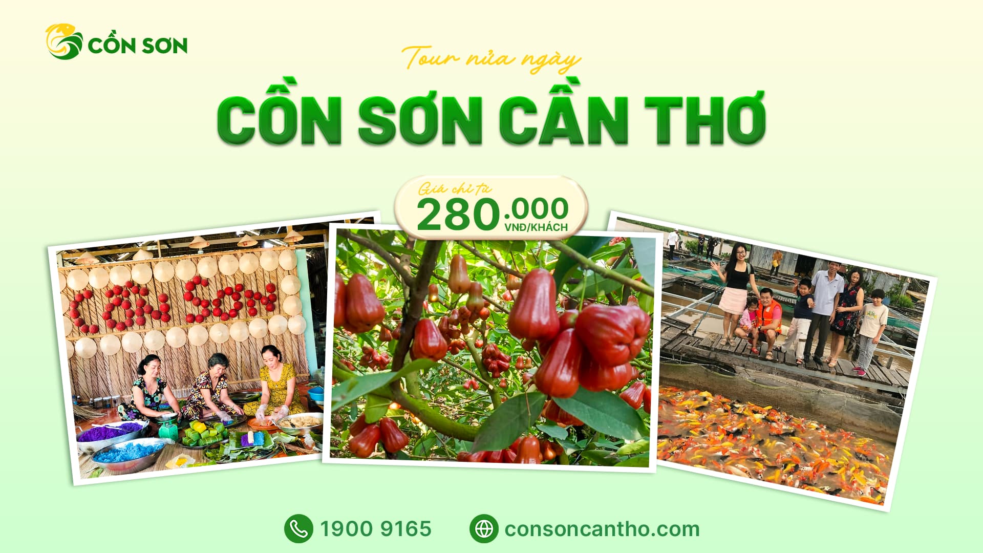 tour du lịch cồn sơn - Hình 2