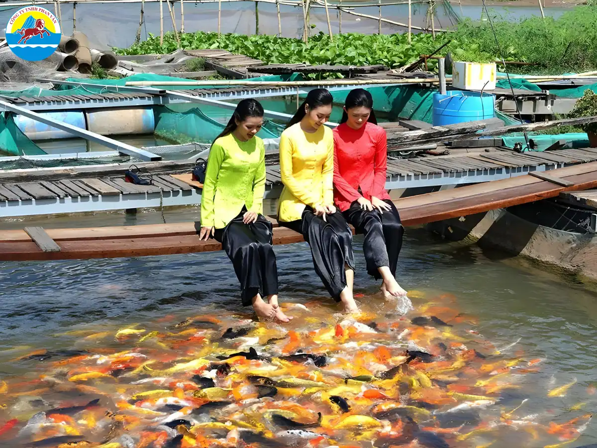 tour du lịch cồn sơn cần thơ - Hình 4