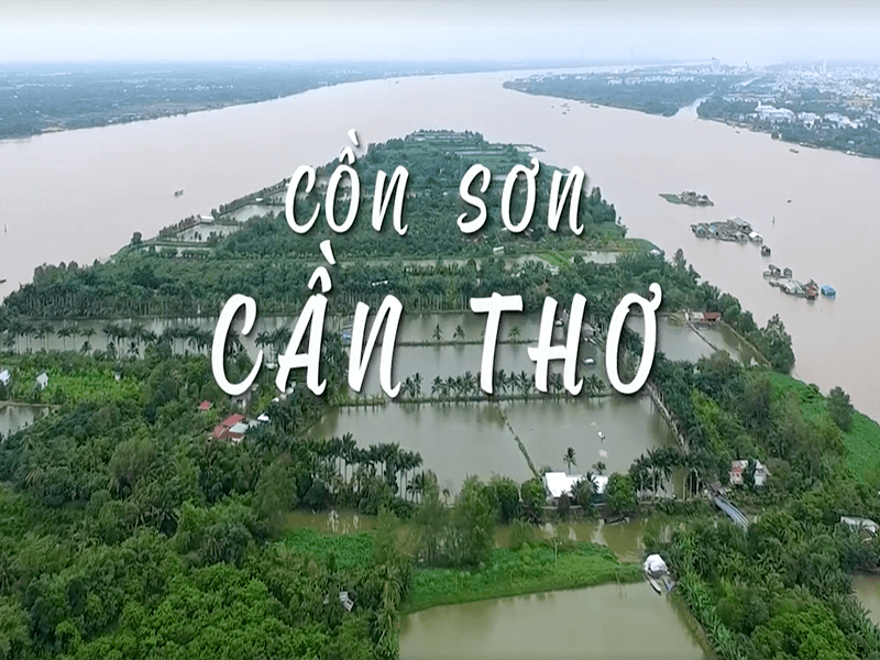 tour du lịch cồn sơn cần thơ - Hình 5