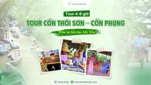 tour du lịch cồn thới sơn