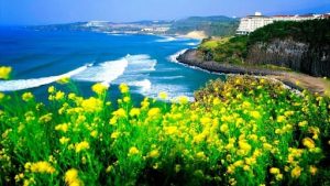 tour du lịch đảo jeju từ hà nội