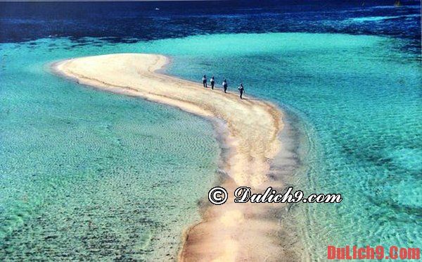 tour du lịch đảo trường sa - Hình 5