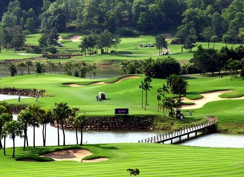 tour du lịch đồng mô 1 ngày - Hình 1